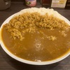 【早大食い】CoCo壱番屋 小田急海老名駅前店〜ポークカレー／ライス1300g／総重量2キロ／デカ盛り／チャレンジメニュー〜