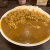 【早大食い】CoCo壱番屋 小田急海老名駅前店〜ポークカレー／ライス1300g／総重量2キロ／デカ盛り／チャレンジメニュー〜