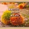 毒親からの逃げかた、教えます