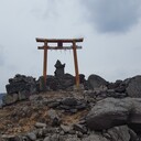 神社の歩き方