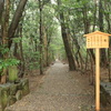 伊勢市内をあっちへこっちへ、雨で中断