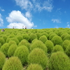 ひたち海浜公園