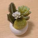 おもちの日記