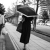 新潟One Way①〜撤収するに及ばず