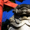 大宮　氷川神社で写真撮影　①　α6400 ＋ 単焦点35mm