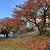 晩秋のひとときです。