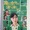 亀は意外と速く泳ぐ
