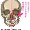 美容液で消えるほうれい線と消えないほうれい線それぞれの対策