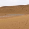 鳥取旅行、Day2～鳥取砂丘、青山剛昌ふるさと館～