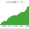 雪を楽しいと思うのは傲慢だろうか猫かぶりだろうか