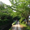 大文字山ハイキングから銀閣寺へ