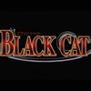 BLACK CAT（ブラック・キャット）