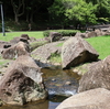 水辺に涼みに行きます「花島公園」