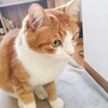病める時も健やかなる時も～中略～ 慈しむ事を誓います