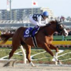 12/1(日)の中京競馬場のレース予想　～1Rと2Rから！12Rも楽しめそう～