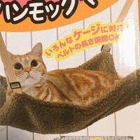 smile5の僕のアンテナ