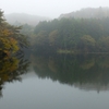 新田堤（仮称）（宮城県大郷）