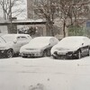 今年 初めての大雪(2020.12.30)