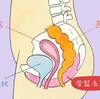 【産後の運動:3〜6日目】骨盤底筋群を動かしてみる