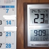 父に振り回される秋👴