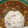 おうちご飯〜活性化カレー〜