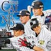 2018年 阪神タイガース【開幕予想オーダー&個人的希望オーダー】