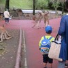 里親会でアフリカンサファリへ