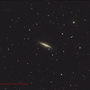 SN in M82