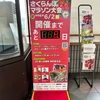【マラソンレポ】果樹王国さくらんぼマラソン大会