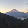 あけましておめでとうございます🎍