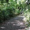 【あおによし、奈良】談山神社　訪問