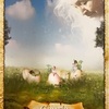 ２　優しい庭師　Gentle Gardener