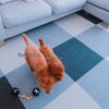 ニトリの購入品と、お姉ちゃんが大好きな弟♪