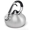  Chantal Ergonomic Stainless Steel Tea Kettle 1.7L