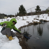 また、今朝も雪が降ってきた。