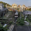 悲しいことがあった歴史にも光をあてよう