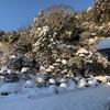 来ましたーーーーー！今年初の大雪！　除湿機は大活躍です！