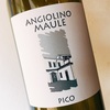 Angiolino Maule - Pico 2019