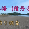 日本海（積丹方面）の鮭を探してきました