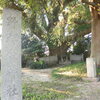 野都合神社風景