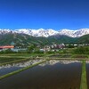 白馬の田んぼに映る北アルプスを撮る旅（1日目）
