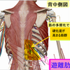 先日のわたしのブログコンテンツ「備えあれば憂いなし。　自分のお腹って？　～　なるほど、私のお腹って、こういう状態なのね　」の補足