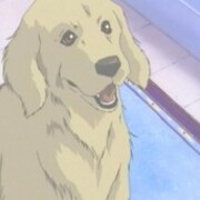07 01 01から1年間の記事一覧 ヒトコトヒトゴトヒトリゴト