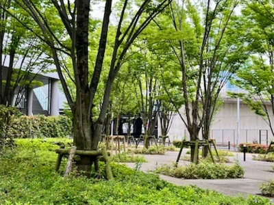 またまた久しぶりのランニング〜有明テニスの森と豊洲ぐるり公園〜