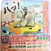 【本日7月20日（土）は「矯正歯科」の日＆夏休み虫歯予防月間開催中】#553