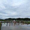 親子田植えの撮影