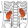 このブログを毎日見たら理学療法士国試合格