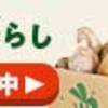 らでぃっしゅぼーや【スーパーより割高なのに人気の秘密とは？実際に1年使用してみた感想】