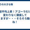 日経平均上昇！アゴーラだけは変わりなく鎮座しておりますが・・・そろそろ動いてね！