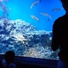 【お出かけ】池袋サンシャイン水族館